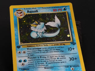 Lot 187 - POKEMON COMPANY (FRANCE) (1)