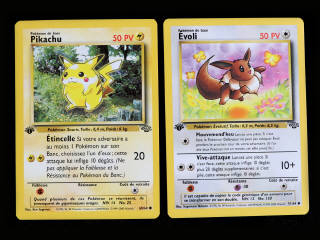 Lot 259 - POKEMON COMPANY (FRANCE) (2)