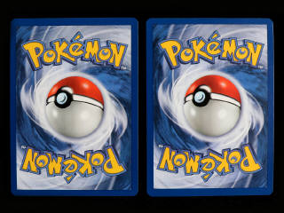 Lot 259 - POKEMON COMPANY (FRANCE) (2)