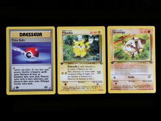 Lot 272 - POKEMON COMPANY (FRANCE) (3)