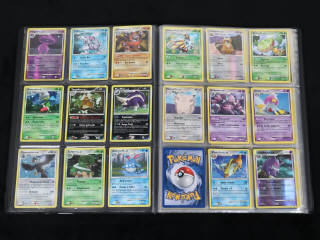 Lot 225 - POKEMON COMPANY (FRANCE) (1)
