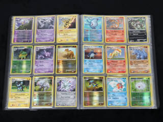 Lot 225 - POKEMON COMPANY (FRANCE) (1)
