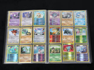 Lot 225 - POKEMON COMPANY (FRANCE) (1)