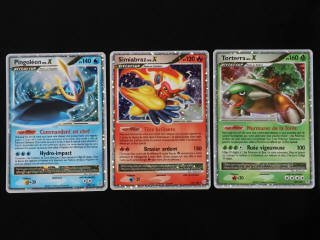 Lot 225 - POKEMON COMPANY (FRANCE) (1)