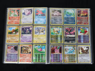 Lot 227 - POKEMON COMPANY (FRANCE) (1)