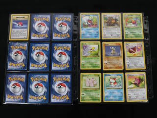 Lot 200 - POKEMON COMPANY (FRANCE) (1)