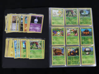 Lot 243 - POKEMON COMPANY (FRANCE) (1)