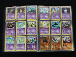 Lot 243 - POKEMON COMPANY (FRANCE) (1)