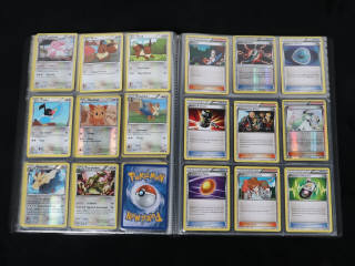 Lot 245 - POKEMON COMPANY (FRANCE) (1)