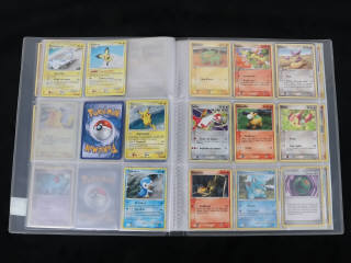 Lot 251 - POKEMON COMPANY (FRANCE) (1)