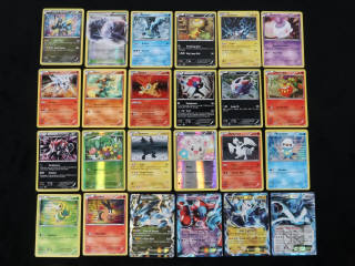 Lot 316 - POKEMON COMPANY (FRANCE) (24)