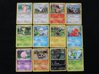 Lot 296 - POKEMON COMPANY (FRANCE) (12)