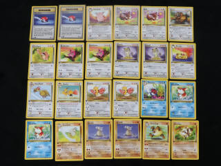 Lot 311 - POKEMON COMPANY (FRANCE) (24)