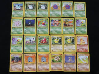 Lot 313 - POKEMON COMPANY (FRANCE) (24)