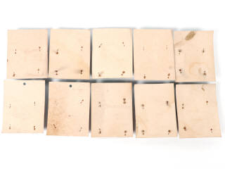 Lot 7 - JEM (FRANCE) (10)