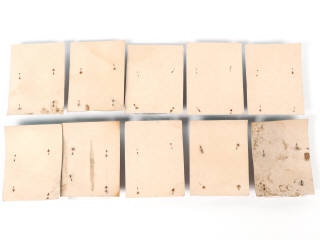 Lot 6 - JEM (FRANCE) (10)