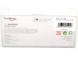 Lot 134 - TSM MODELS (CHINE) (1)