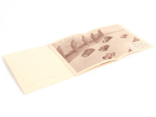 Lot 212 - DINKY TOYS (FRANCE) (1)