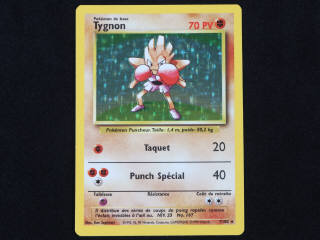 Lot 10 - POKEMON COMPANY (FRANCE) (1)