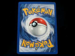 Lot 14 - POKEMON COMPANY (USA) (1)