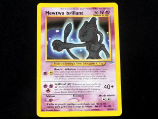 Lot 48 - POKEMON COMPANY (FRANCE) (1)