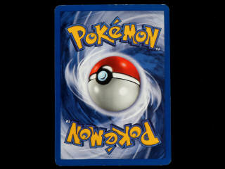 Lot 43 - POKEMON COMPANY (USA) (1)