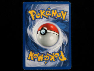 Lot 44 - POKEMON COMPANY (USA) (1)