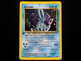 Lot 42 - POKEMON COMPANY (USA) (1)