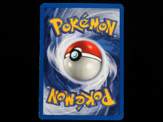 Lot 42 - POKEMON COMPANY (USA) (1)