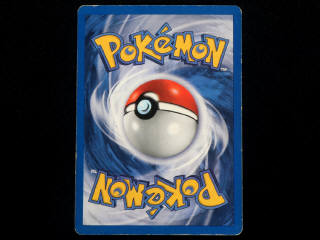 Lot 20 - POKEMON COMPANY (FRANCE) (1)