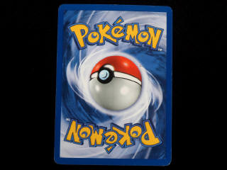 Lot 31 - POKEMON COMPANY (FRANCE) (1)