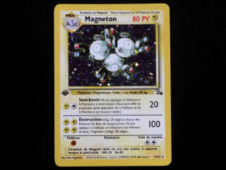 Lot 30 - POKEMON COMPANY (FRANCE) (1)