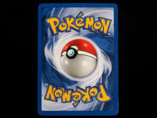 Lot 30 - POKEMON COMPANY (FRANCE) (1)
