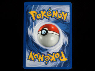 Lot 33 - POKEMON COMPANY (FRANCE) (1)