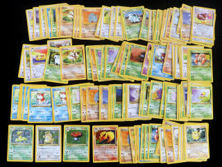 Lot 24 - POKEMON COMPANY (FRANCE) (1)