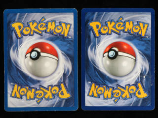 Lot 60 - POKEMON COMPANY (FRANCE) (2)