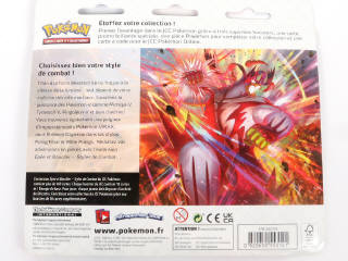 Lot 29 - POKEMON COMPANY (FRANCE) (1)