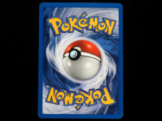 Lot 86 - POKEMON COMPANY (USA) (1)