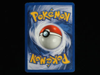Lot 71 - POKEMON COMPANY (FRANCE) (1)