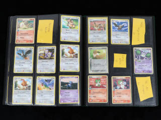 Lot 35 - POKEMON COMPANY (FRANCE) (1)