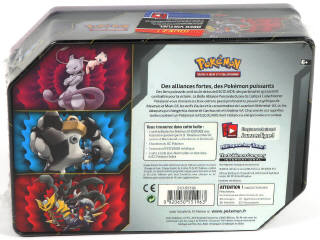 Lot 31 - POKEMON COMPANY (FRANCE) (1)