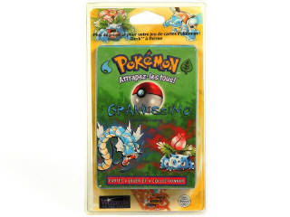 Lot 114 - POKEMON COMPANY (FRANCE) (1)