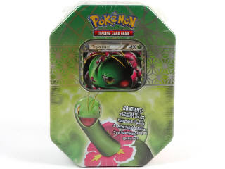 Lot 33 - POKEMON COMPANY (FRANCE) (1)