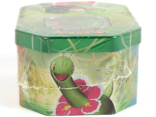 Lot 33 - POKEMON COMPANY (FRANCE) (1)