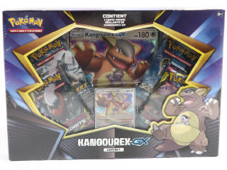Lot 18 - POKEMON COMPANY (FRANCE) (1)