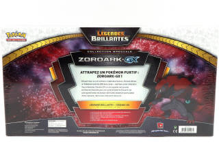 Lot 23 - POKEMON COMPANY (FRANCE) (1)