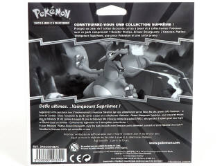 Lot 55 - POKEMON COMPANY (FRANCE) (1)
