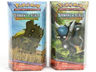 Lot 97 - POKEMON COMPANY (FRANCE) (2)