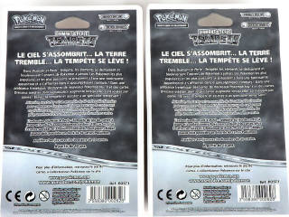 Lot 93 - POKEMON COMPANY (FRANCE) (2)