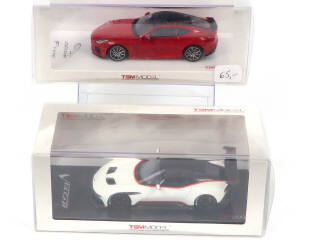 Lot 171 - TSM MODELS (2)